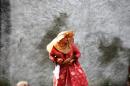Les joyes du mariage 2 21 * 4368 x 2912 * (4.97MB)